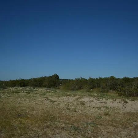 Bel T3 ,100 M De L'ocean , Centre