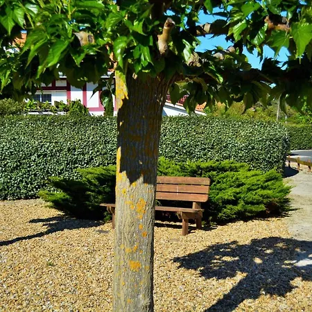 Appartement Bel T3 ,100 M De L’océan , Centre Soulac-sur-Mer