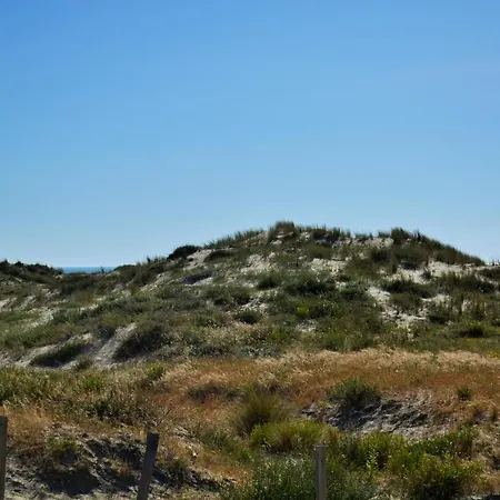 Appartement Bel T3 ,100 M De L’océan , Centre *