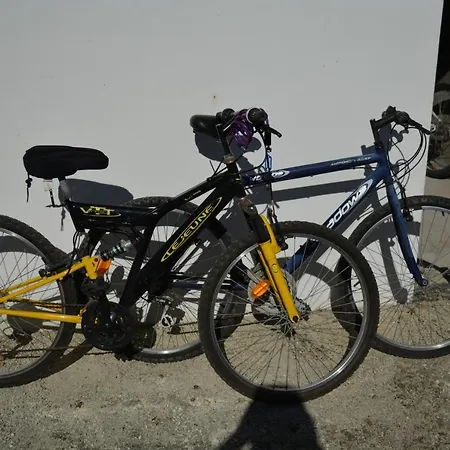 Bel T3 ,100 M De L’océan , Centre